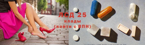гидра Верхний Тагил