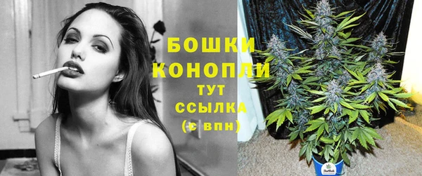 гидра Верхний Тагил