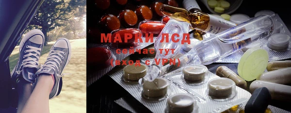 индика Бугульма