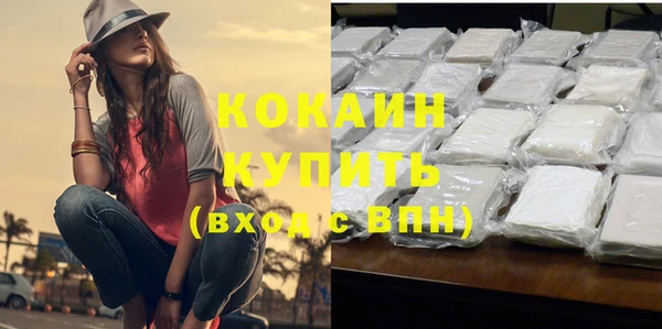 гидра Верхний Тагил