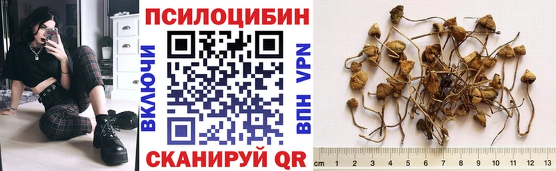 Галлюциногенные грибы MAGIC MUSHROOMS Остров