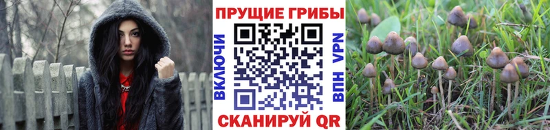 Галлюциногенные грибы мухоморы  гидра ссылки  Остров 